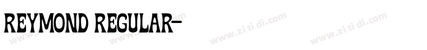 Reymond Regular字体转换 Reymond Regular字体转换